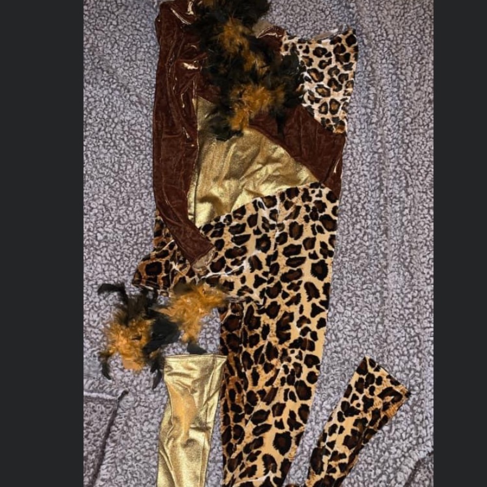 Dance costume